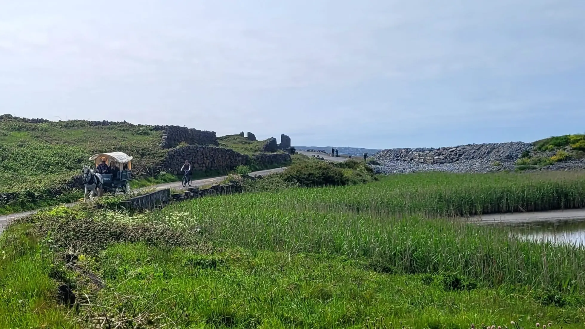 Coastal path of Inis More with carriage dragged by brown horse and walkers in the distant background