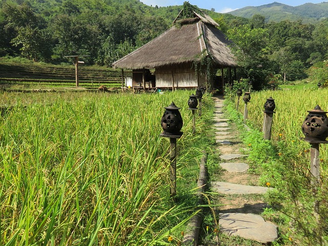 old house with straw roof and wooden walls on stilts with veranda and stairs leading to the ground